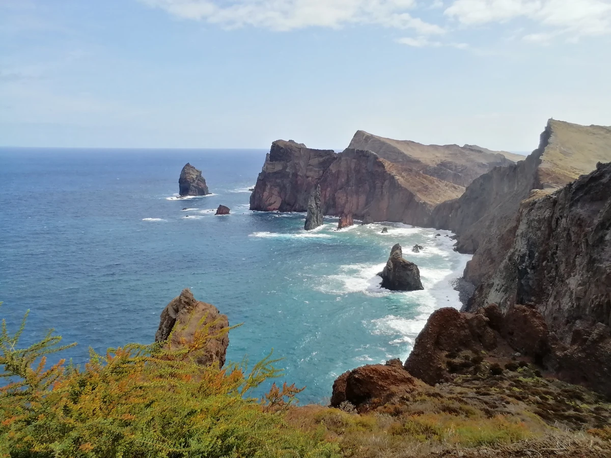 madeira