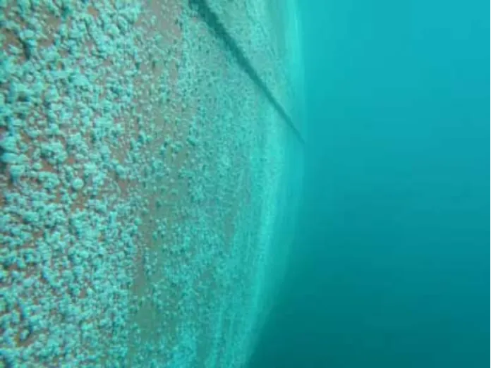 Biofouling
